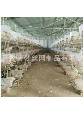 鸽笼三层十二位鸽笼鸽子养殖鸽子笼铁网鸽笼四层