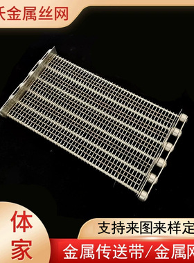 清洗机链片式输送带眼睛网带速冻机配件网链传送带输送机配件