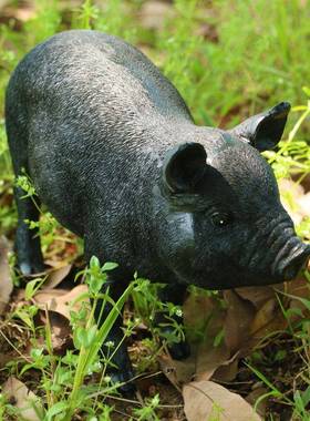 户外仿动物小猪树脂工艺雕PRI摆件真园林塑景观庭公园花园院装饰