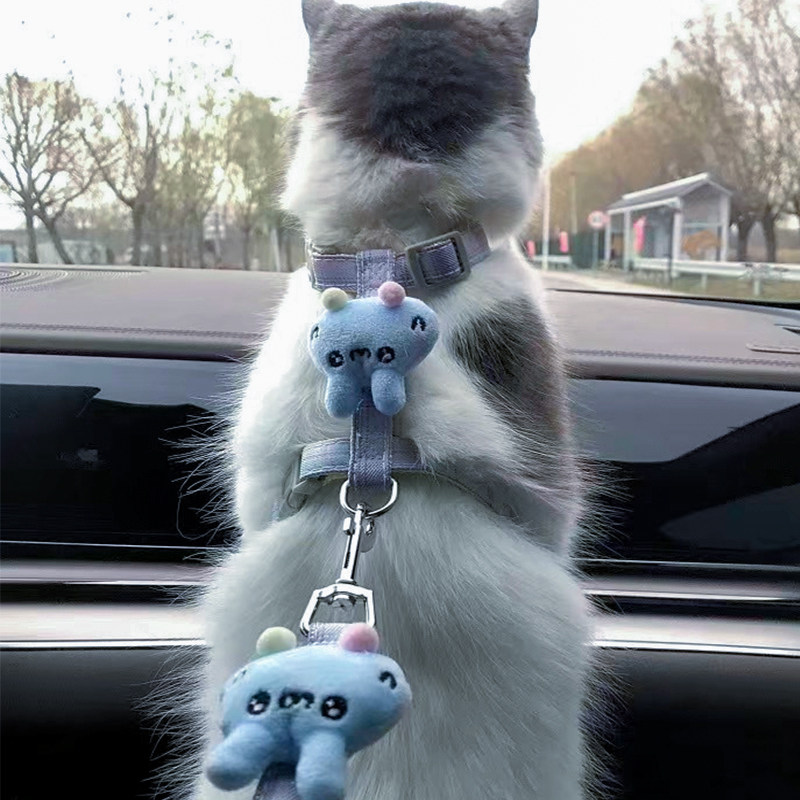 猫咪牵引绳防挣脱遛猫绳外出专用背带链子宠物工字型猫绳子小型犬,淘宝优惠券,粉丝福利购,淘宝优惠卷