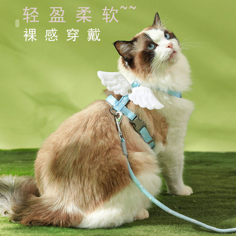 猫咪牵引绳防挣脱外出专用遛猫绳胸背带猫绳子可调节宠物溜猫链子,淘宝优惠券,粉丝福利购,淘宝优惠卷