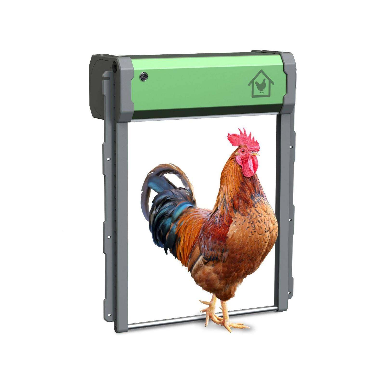 全自动鸡门防夹鸡防阳VFS水窝门太能光感定鸡时卷远程遥控帘门鸡,淘宝优惠券,粉丝福利购,淘宝优惠卷