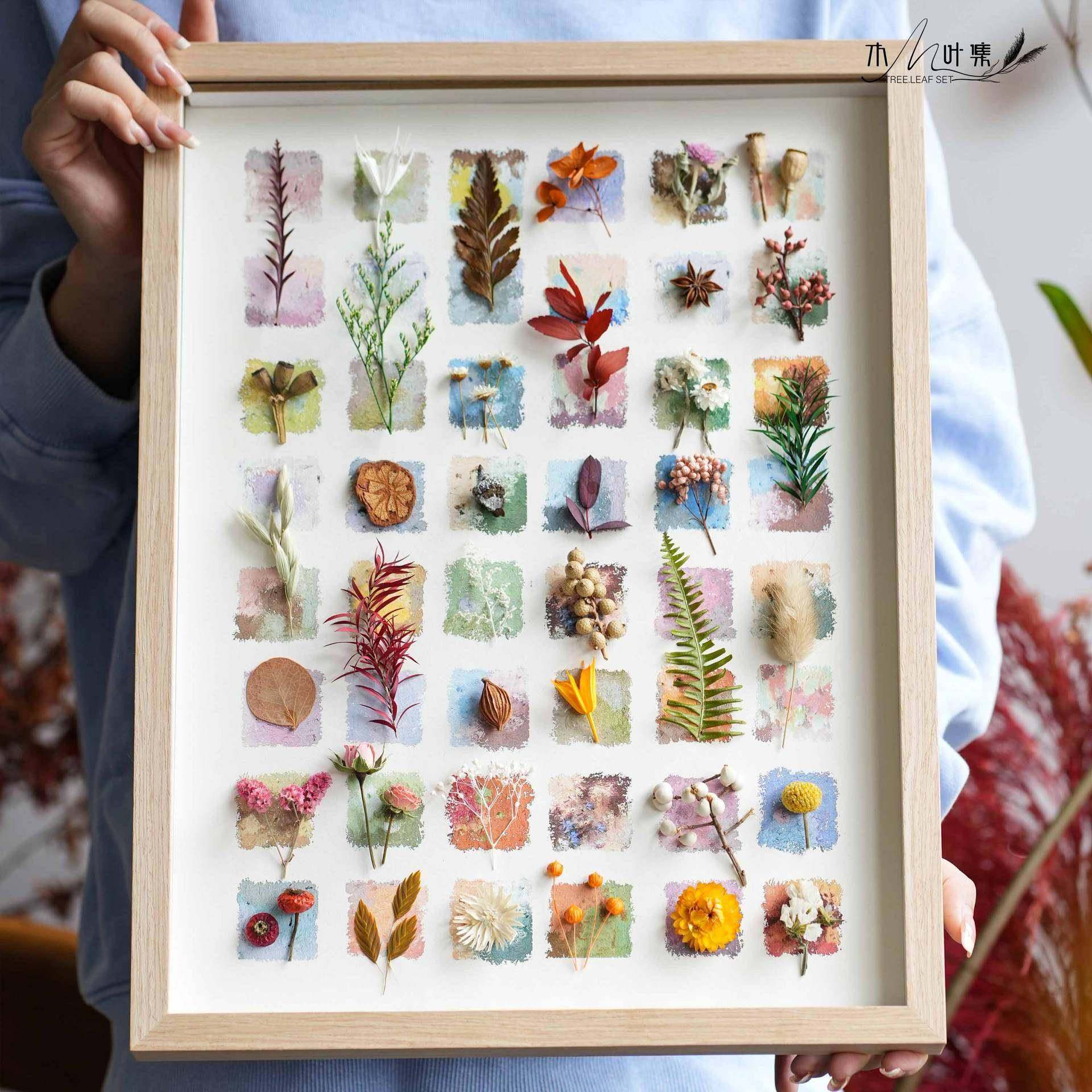 干花干家果押相花框手工组简合居IFB植物装饰画法式轻奢约,淘宝优惠券,粉丝福利购,淘宝优惠卷