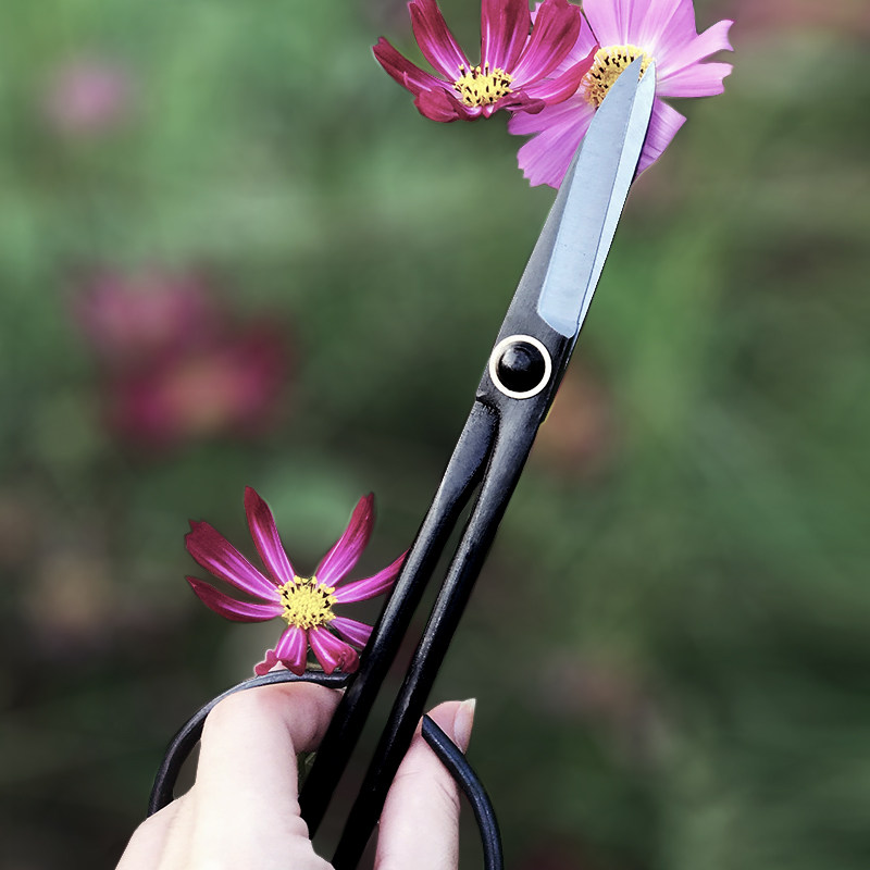 花剪家用花艺鲜花插花专用日式修剪花卉花枝园艺盆景剪刀小枝切铗,淘宝优惠券,粉丝福利购,淘宝优惠卷