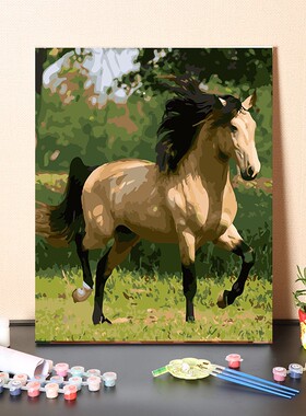数字油画diy手工填充飞驰骏马小白马手绘消磨时间画画涂色油彩画