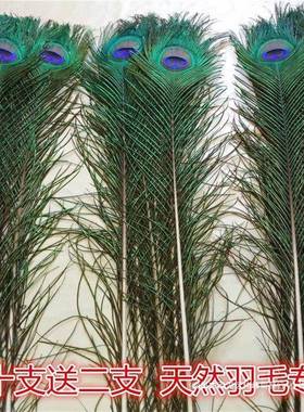 家居饰品摆件孔雀KCK饰羽毛真孔雀毛花婚瓶装品雀翎孔尾庆羽毛