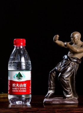 中国风花园户外摆件功夫盆景盆栽装饰搭配石湾陶瓷中华武术少林寺