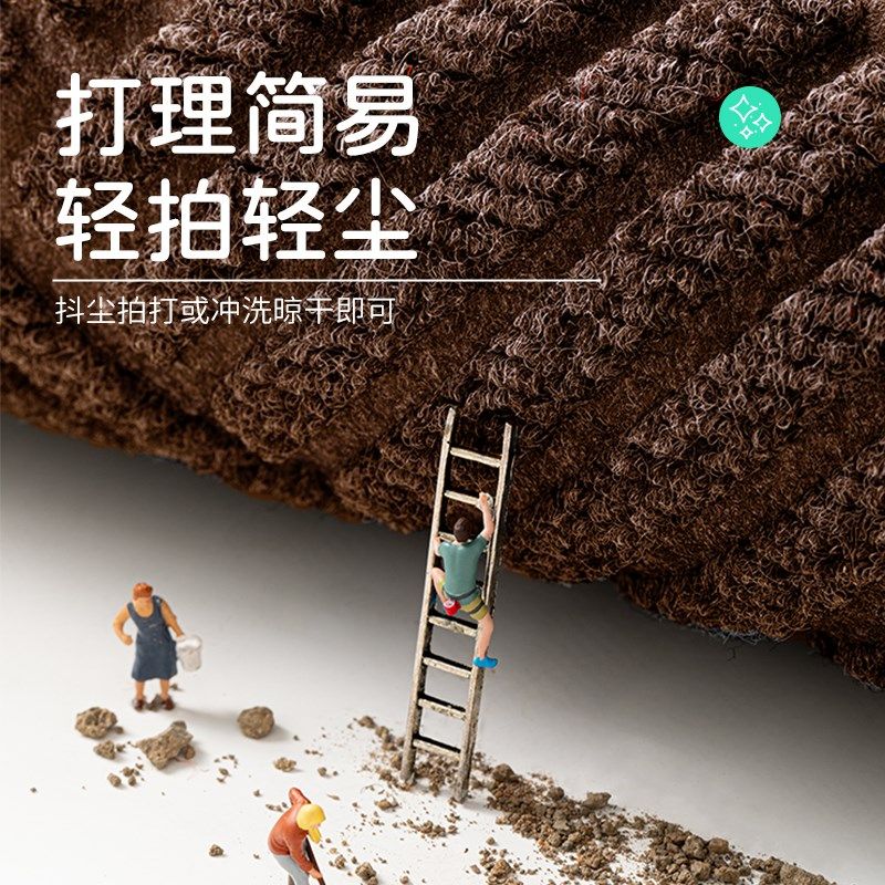 高端入户门地垫新款进门门口脚垫别墅门垫家用地毯耐脏免洗垫子,淘宝优惠券,粉丝福利购,淘宝优惠卷