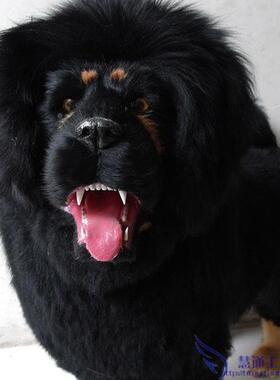 大AGN仿型真藏獒拍照道摄影道具大号动物静态模具型藏獒