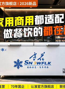 国企雪花【官方自营】商用大冰柜
