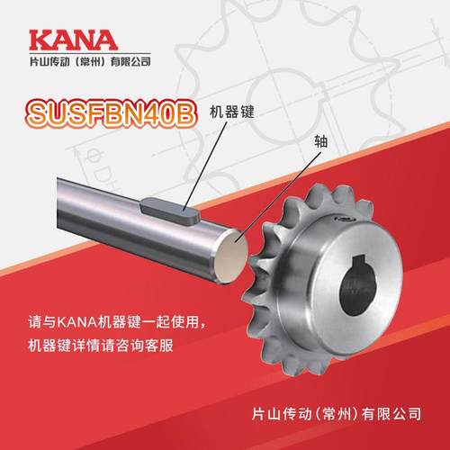 QDWSUSFIBN40B齿数：16~19不锈成钢品孔链新JS键轮槽规格 - 图1