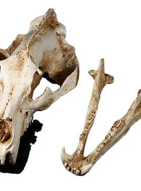 仿电影头骷髅头-1真道具型树脂工艺品骷髅头北极熊头骨动物园模骨