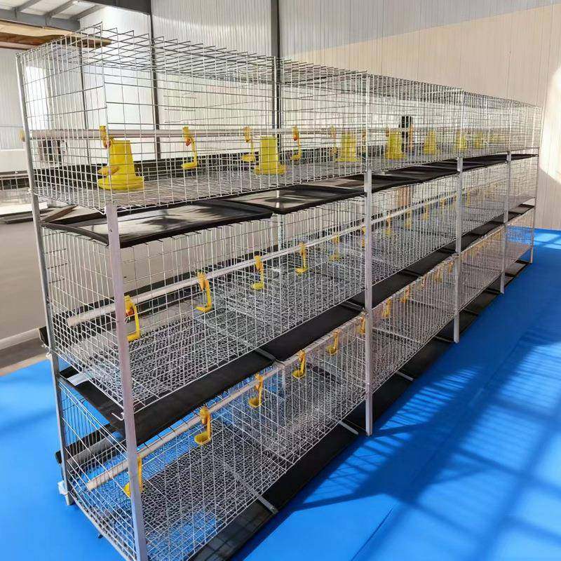 框架肉鸡笼后镀锌雏肉鸡两用三层鸡笼肉鸡蛋鸡养殖鸡笼H型肉鸡笼,淘宝优惠券,粉丝福利购,淘宝优惠卷