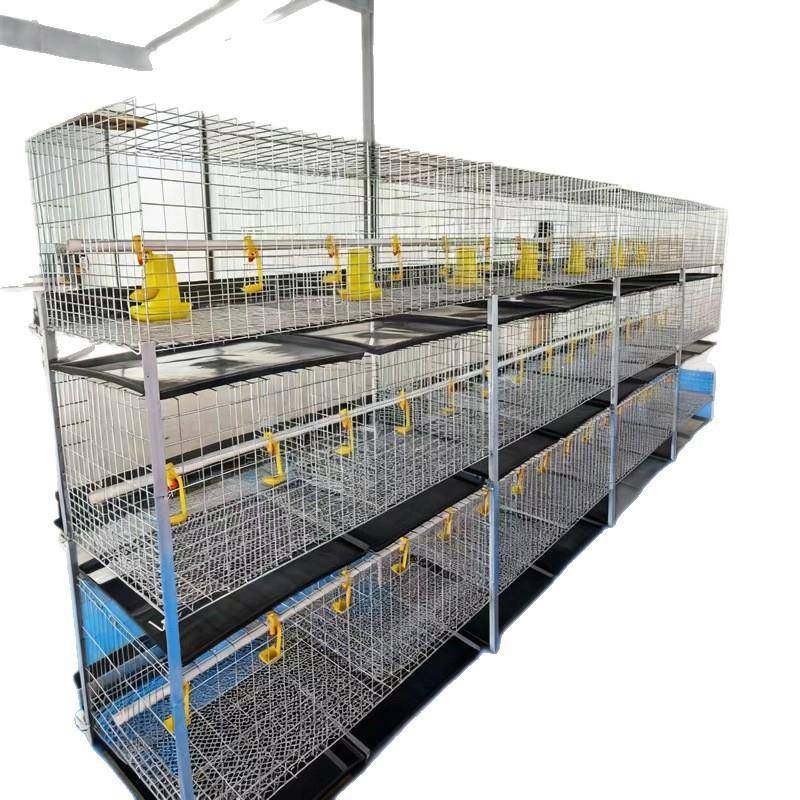 框架肉鸡笼后镀锌雏肉鸡两用三层鸡笼肉鸡蛋鸡养殖鸡笼H型肉鸡笼,淘宝优惠券,粉丝福利购,淘宝优惠卷