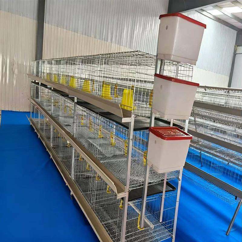框架肉鸡笼后镀锌雏肉鸡两用三层鸡笼肉鸡蛋鸡养殖鸡笼H型肉鸡笼,淘宝优惠券,粉丝福利购,淘宝优惠卷