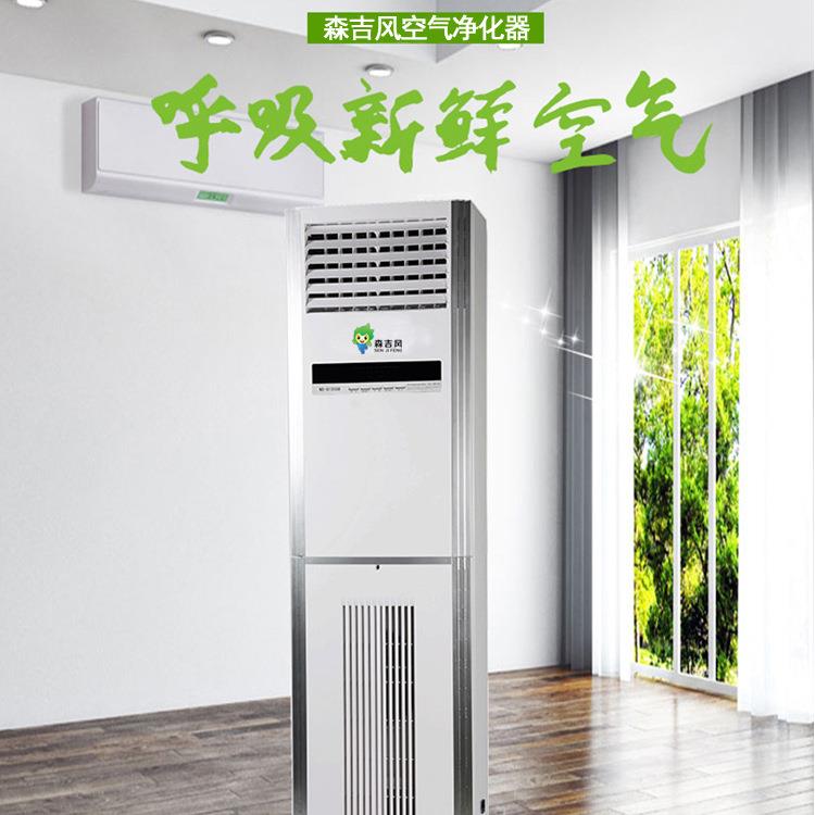Business cabinet new air purifier room office style intelligent purifier 12BJY00 air volume cabinet machine factory