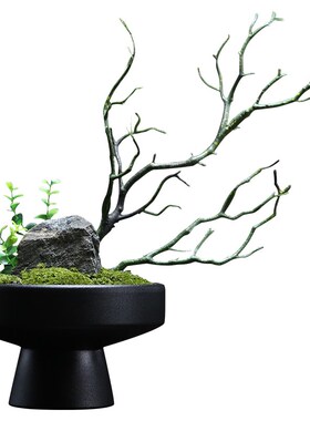 现代永生苔藓微景观摆件样板房茶几盆景造景客厅办公桌面花艺装饰