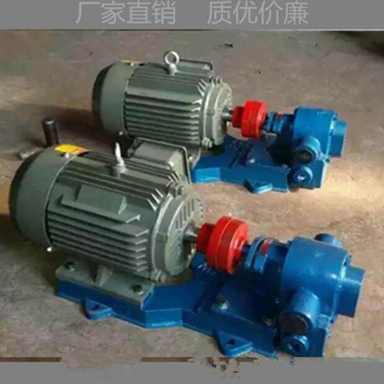 RCB-200沥青泵沥青保温齿轮泵高温沥青泵夹套齿轮泵 - 图2