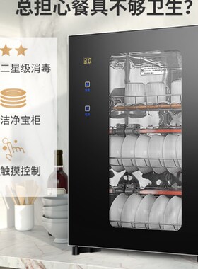 普来旺碗筷消毒柜高温壁挂式家用餐具茶杯单门台式小型厨房碗柜