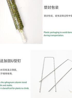 撑攀爬植物支杆藓棒爬藤柱苔JHW龟背竹海芋秋棠白锦海绿萝青苔柱