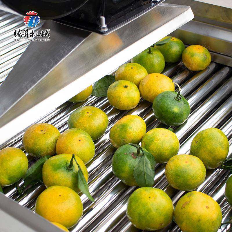 果蔬气泡消毒清洗去农残风干生产线 全自动果蔬加工设备 腾昇机械,淘宝优惠券,粉丝福利购,淘宝优惠卷
