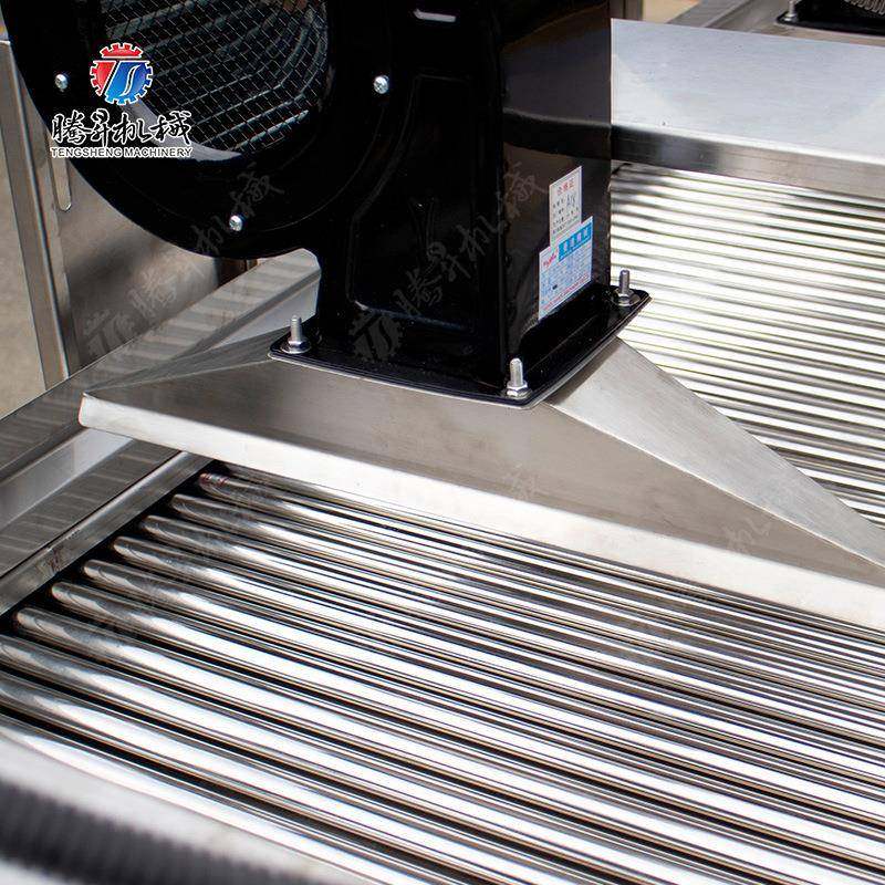 果蔬气泡消毒清洗去农残风干生产线 全自动果蔬加工设备 腾昇机械,淘宝优惠券,粉丝福利购,淘宝优惠卷