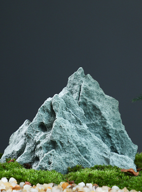 创意办公室摆件微景观造景禅意花盆客厅茶室桌面文竹苔藓菖蒲盆景