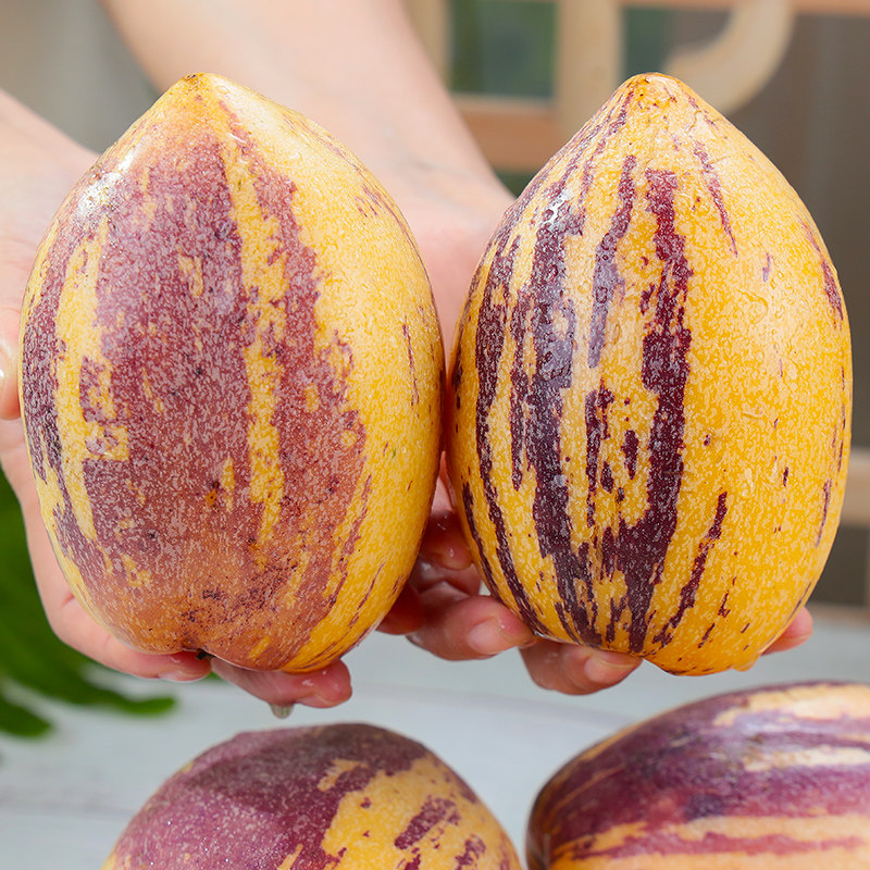 甘肃民勤人参果4.5斤精品大果