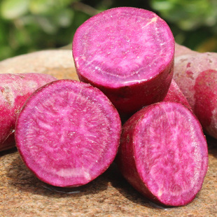 现挖新鲜紫薯板栗薯净重5斤彩箱