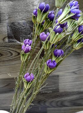 云南乾燥花束【开心果】插花真花摆放装饰花艺手工材料摆放飘窗餐