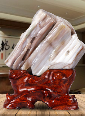 缅甸树化玉原石摆件天然冰种硅化木木化石奇石客厅景观石观赏石头
