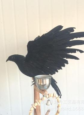 乌鸦模型羽毛乌鸦鸟仿真乌鸦鬼节乌道鸦饰具PEN万圣节装派对