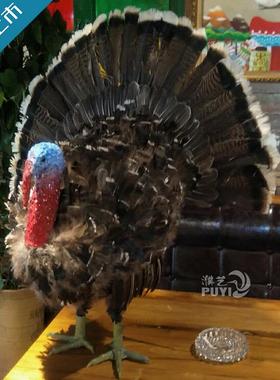 XPK仿真火摆鸡圣诞装饰品火鸡道具羽毛工艺厅品酒餐装饰店件创意