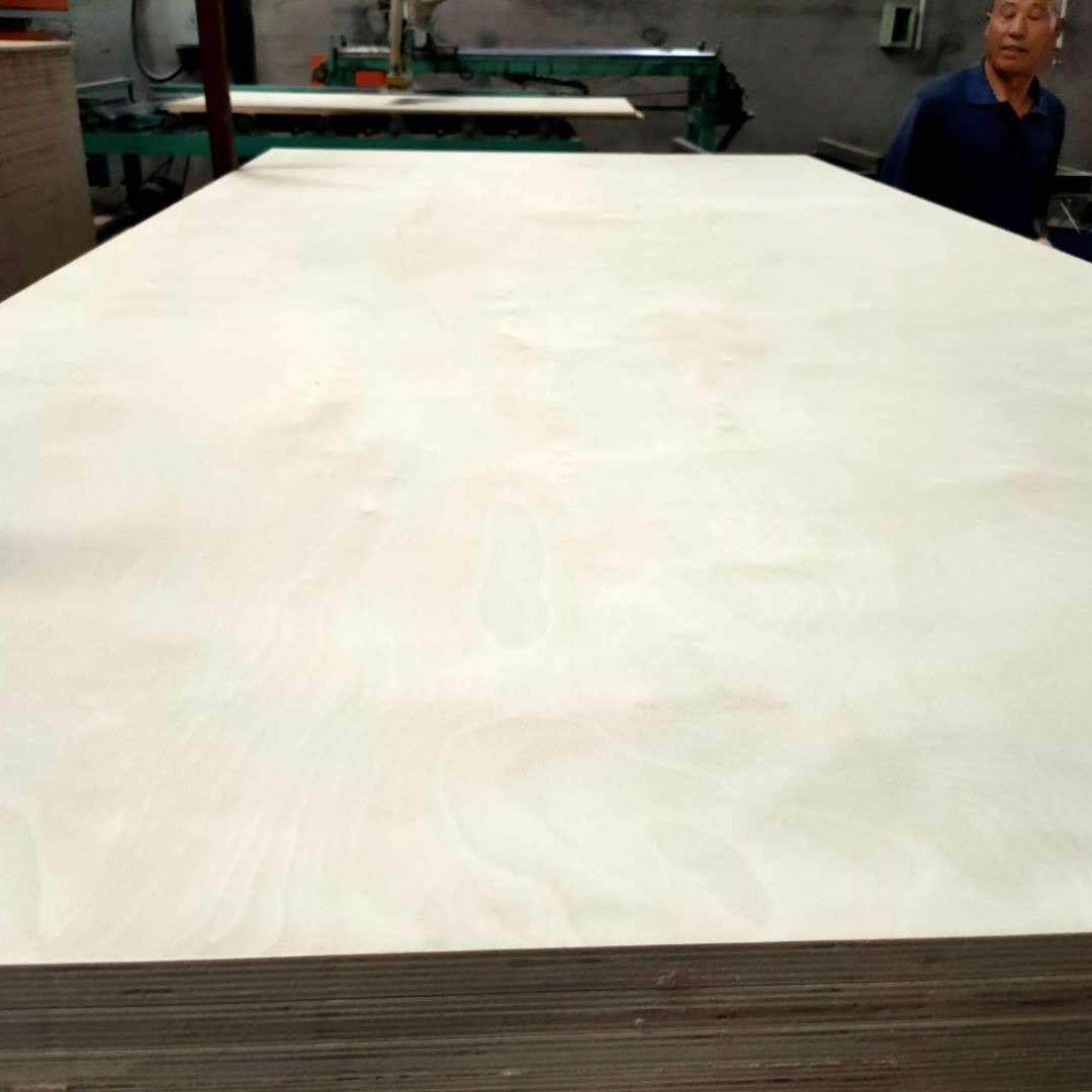 漂白桦多层板板多层木家具板胶合板GUM材实木贴面饰面供应,淘宝优惠券,粉丝福利购,淘宝优惠卷