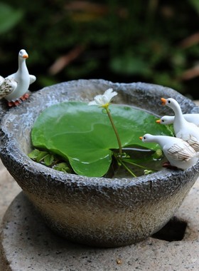 小白鸭子水培花盆一叶莲铜钱草花器庭院花园装饰摆件复古仿石臼盆