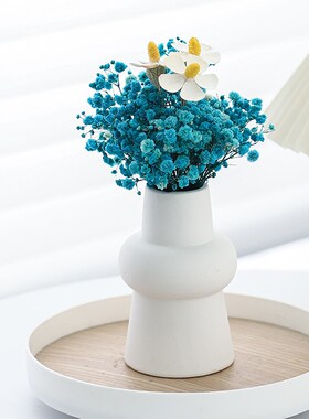 北欧风简约白色陶瓷花瓶摆件客厅家居客厅餐桌玄关插花水培装饰品