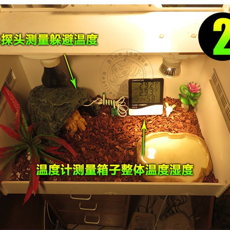 爬虫电子温度计探头温湿度计爬宠箱陆龟蜥蜴宠物温度计高精度双温,淘宝优惠券,粉丝福利购,淘宝优惠卷