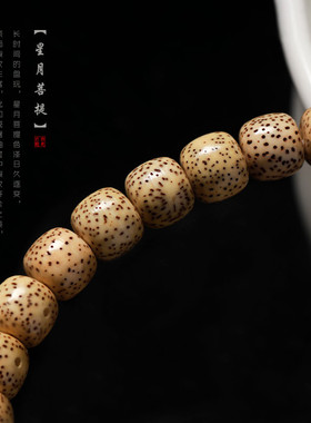 武当山官方海南黄金籽星月菩提手串配饰貔貅手持盘文玩双圈手链