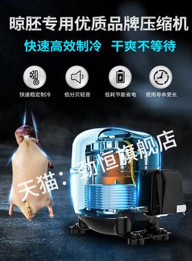 劲恒风干风柜晾鸭柜智能晾胚柜烧鹅小烧XDF-2D-S腊型烘干机烤鸭干