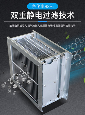 低空专业型油烟净化器商用饭店厨房餐饮烧烤静电式过滤分离器6000