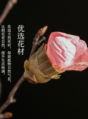 干枝梅花真花风干天然花束客厅摆设高端旺财干花酒柜装饰摆件腊梅