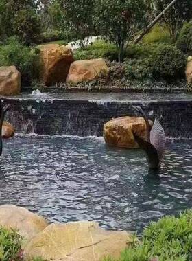 蜡石大围型鹅石鱼2402328黄池边驳岸石园林造景石庭卵院天然原石