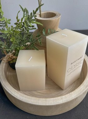 侘寂风绿植软装造景套餐木质托盘花盆桌面装饰摆件玄关圆形果盘