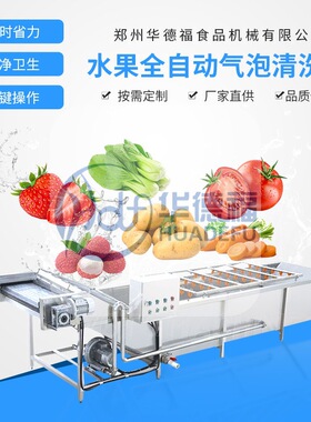 全自动果蔬气泡清洗机水果清洗分拣称重设备不锈钢果蔬喷淋式清洗