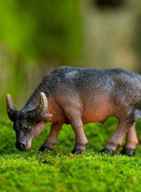 创意仿真小水牛摆件桌面客厅树脂动物装饰微景观小牛盆景假山造景