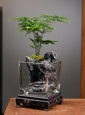 生态瓶苔藓微景观桌面盆栽青苔造景绿植物闷养鱼缸办公室水培摆件