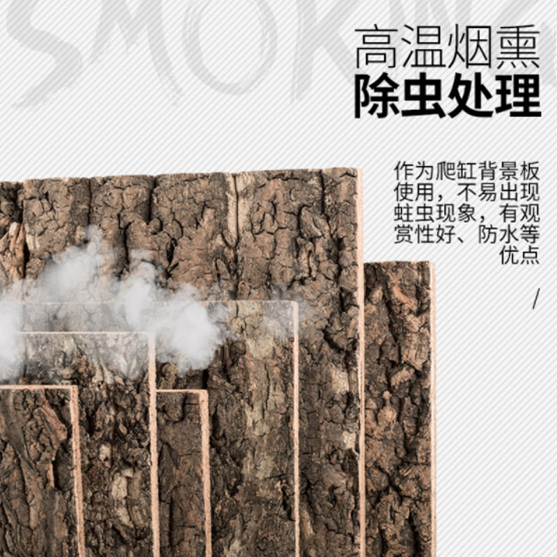 爬宠缸造景装饰树皮橡木软木背景板爬虫造景宠物饲养箱仿真假树皮,淘宝优惠券,粉丝福利购,淘宝优惠卷