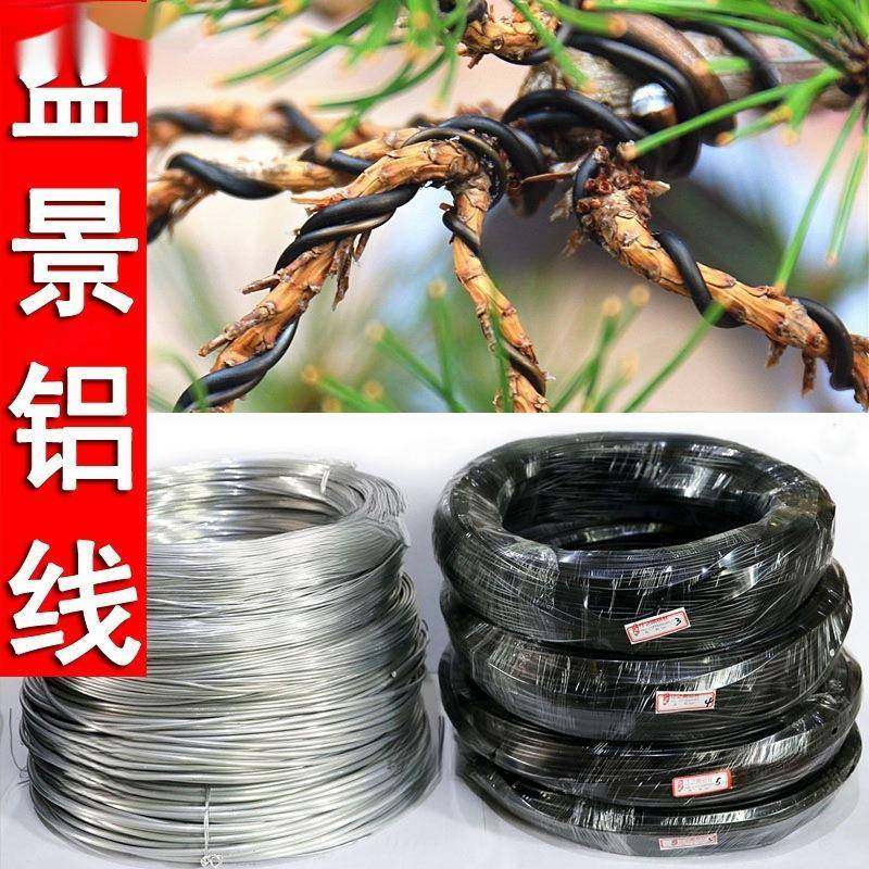 景树定型用软铁丝扎树OYW桩造型矫正枝铝丝金花盆弹子果树嫁接蟠 - 图0