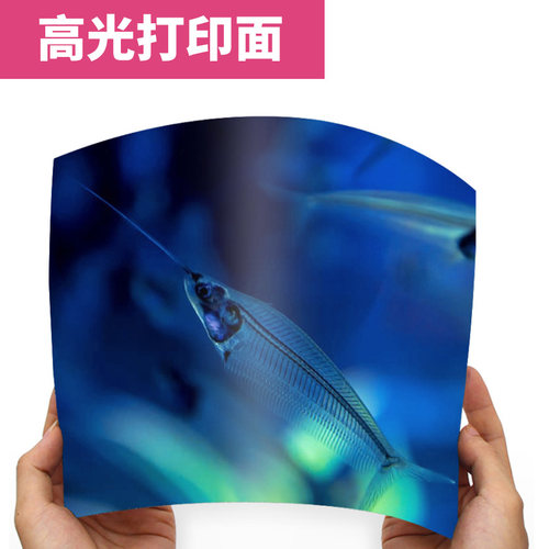 单面喷墨铜版纸A3+/A3++/880/660彩喷铜版纸照片纸230g相纸260克 - 图0