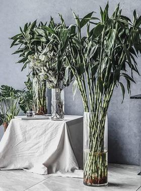 超白加厚圆柱鱼缸直筒透明玻璃金鱼缸客厅大号落地水培圆形乌龟缸